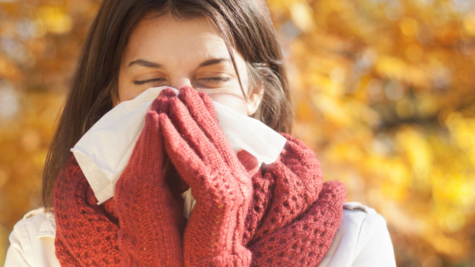 Your Guide to Tackling Fall Allergies